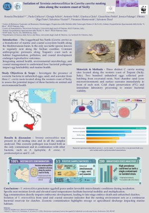 Rosaria Disclafani_Poster.pdf
